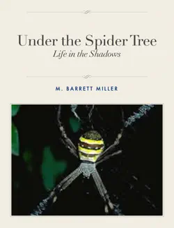 under the spider tree book cover image