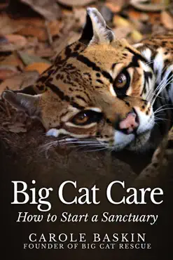 big cat care book cover image