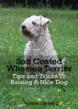 Soft Coated Wheaten Terrier Tips and Tricks To Raising A Nice Dog synopsis, comments