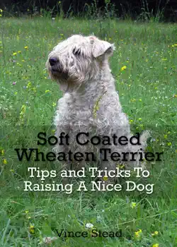 soft coated wheaten terrier tips and tricks to raising a nice dog book cover image