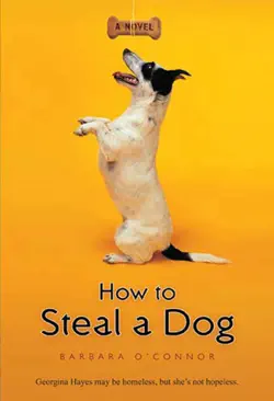 how to steal a dog book cover image