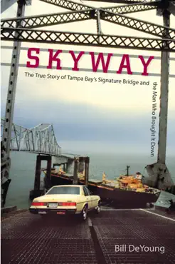 skyway book cover image
