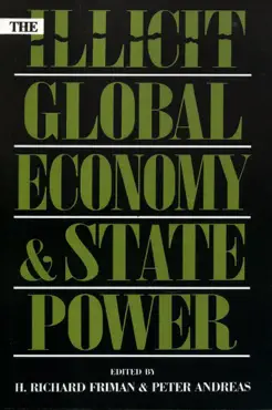 the illicit global economy and state power book cover image