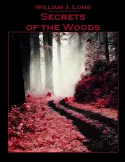 secrets of the woods book cover image