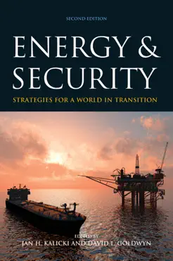 energy and security book cover image