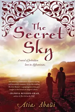 the secret sky imagen de la portada del libro