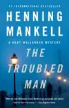 The Troubled Man synopsis, comments