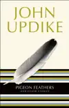 Pigeon Feathers synopsis, comments