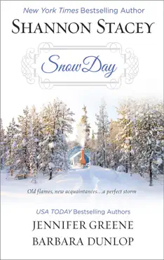 snow day book cover image