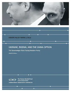 ukraine, russia, and the china option book cover image