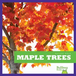 maple trees book cover image