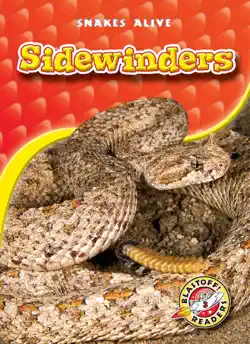 sidewinders book cover image