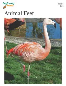 beginningreads 6-2 animal feet book cover image