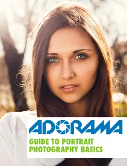 guide to portrait photography basics book cover image