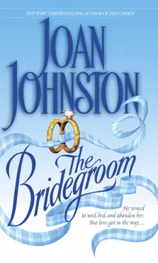 the bridegroom book cover image