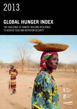 2013 global hunger index imagen de la portada del libro