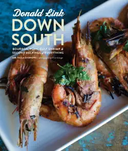 down south book cover image