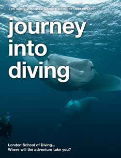 journey into diving book cover image
