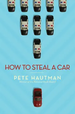 how to steal a car book cover image