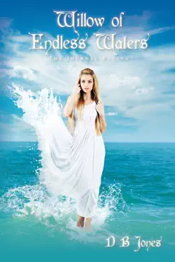 willow of endless waters the journey begins book cover image