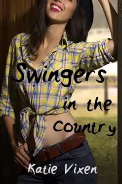 swingers in the country: a menage story book cover image