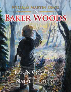 william martin davis in baker woods book cover image