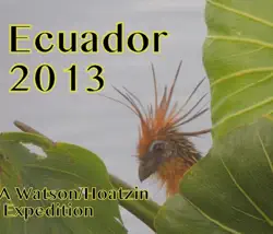 ecuador 2013 book cover image