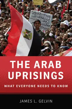 the arab uprisings book cover image