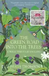 The Green Road Into The Trees sinopsis y comentarios