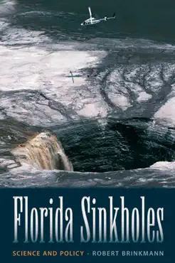 florida sinkholes book cover image