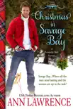 Christmas in Savage Bay synopsis, comments