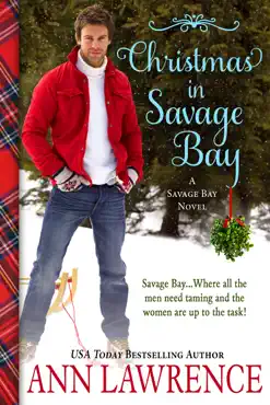 christmas in savage bay book cover image
