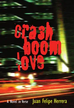crashboomlove book cover image