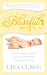 The Blissful Baby Expert synopsis, comments