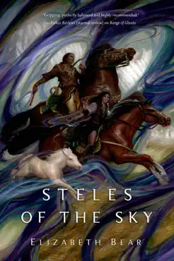 steles of the sky book cover image