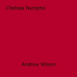 chelsea nympho book cover image