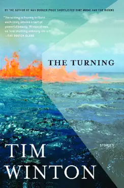 the turning book cover image