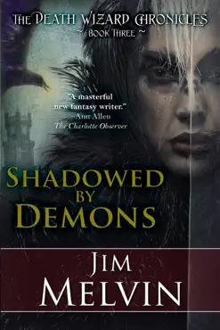 shadowed by demons book cover image