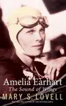 Amelia Earhart sinopsis y comentarios