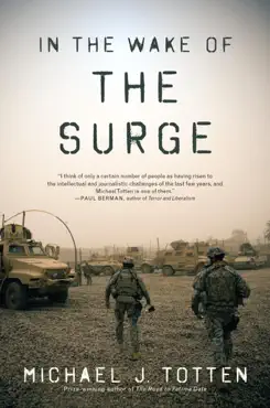 in the wake of the surge imagen de la portada del libro