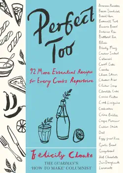 perfect too book cover image