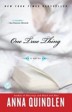 one true thing book cover image
