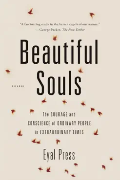 beautiful souls book cover image