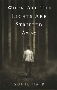 when all the lights are stripped away imagen de la portada del libro