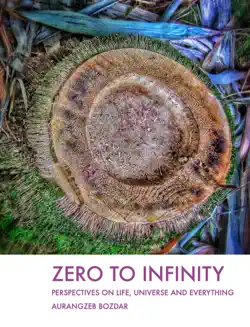 zero to infinity book cover image