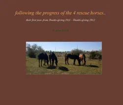following the progress of the 4 rescue horses... book cover image
