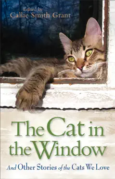the cat in the window book cover image