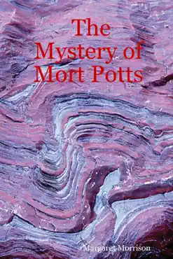 the mystery of mort potts imagen de la portada del libro