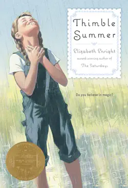 thimble summer book cover image
