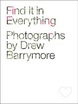 find it in everything book cover image